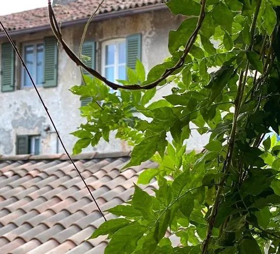 Fwl The Lake * 阿罗纳